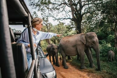 Yala - Safari