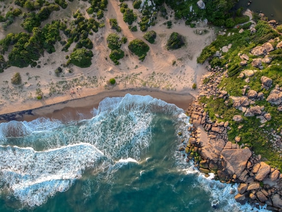 Coastal aerial view